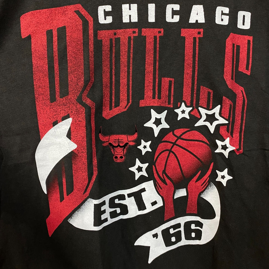Junk Food New Era Chicago Bulls Sports Graphic Women's product image 2