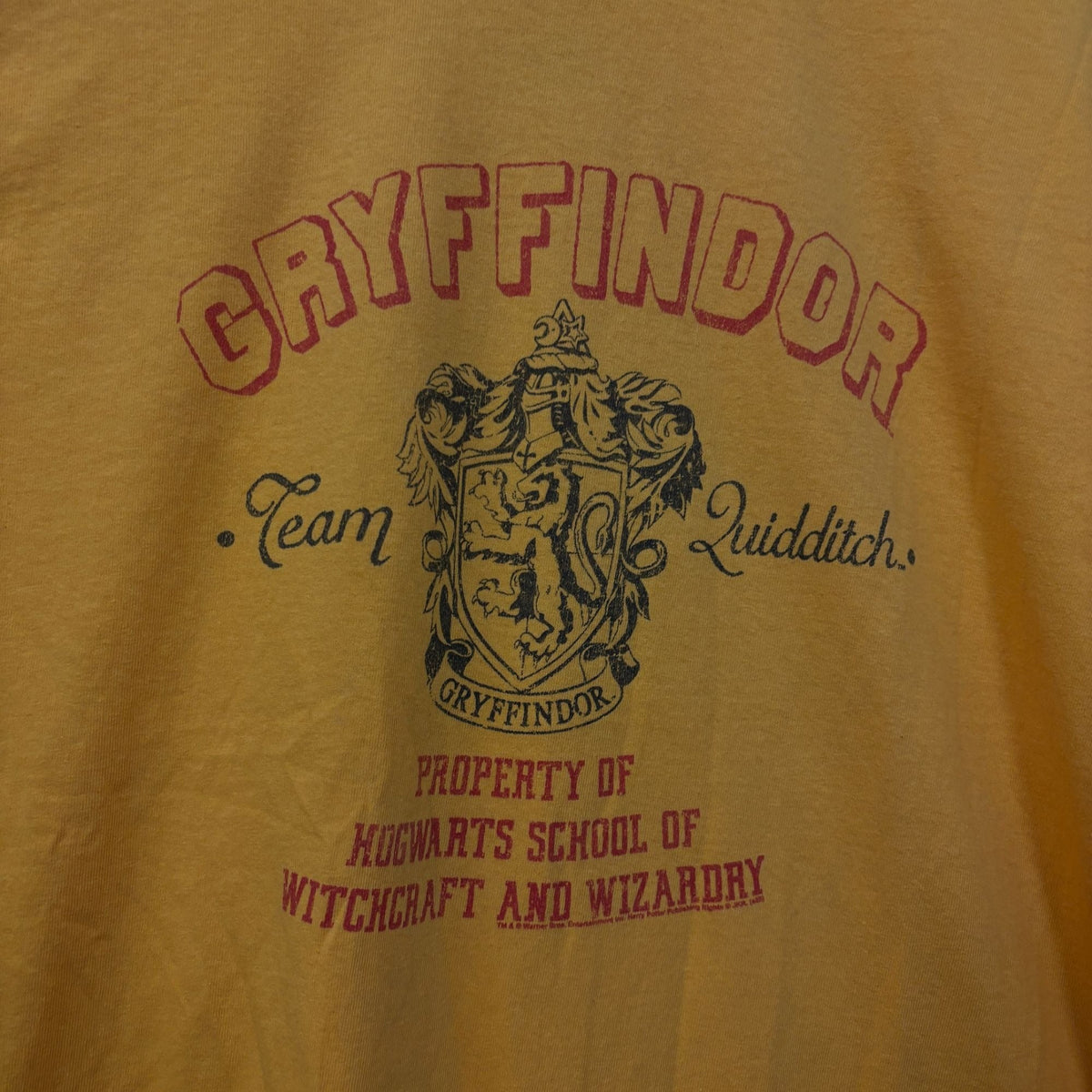 Harry Potter Gryffindor Team Quidditch Tshirt Size medium product image 2