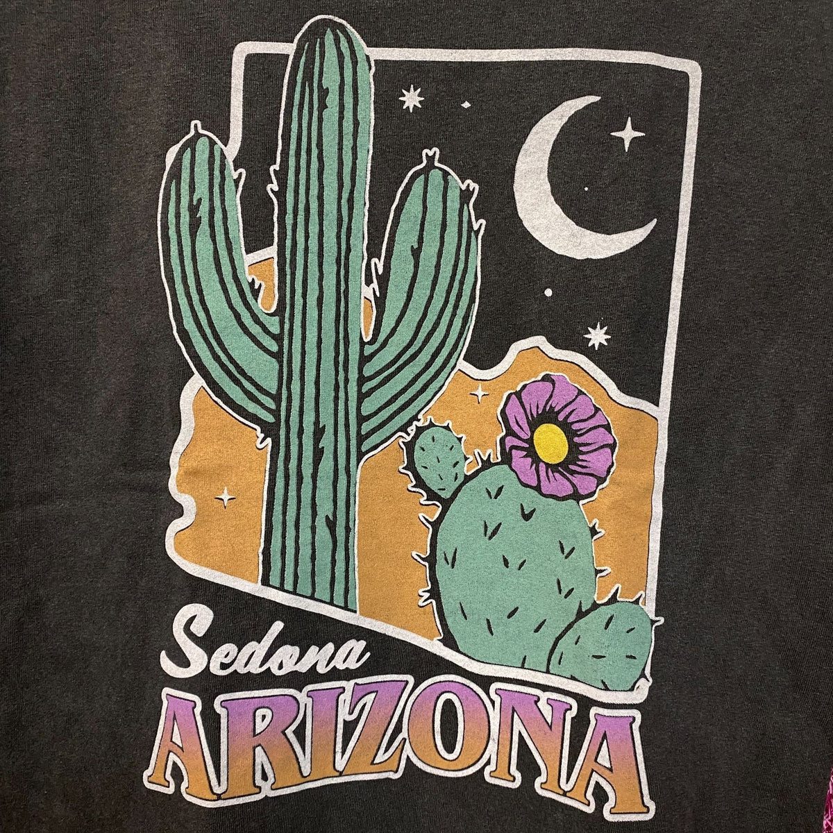 Junk Food Clothing Sedona Arizona Flea Market Tee XS product image 2