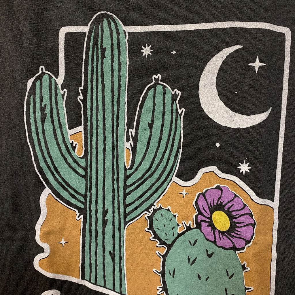 Junk Food Clothing Sedona Arizona Flea Market Tee XS product image 4