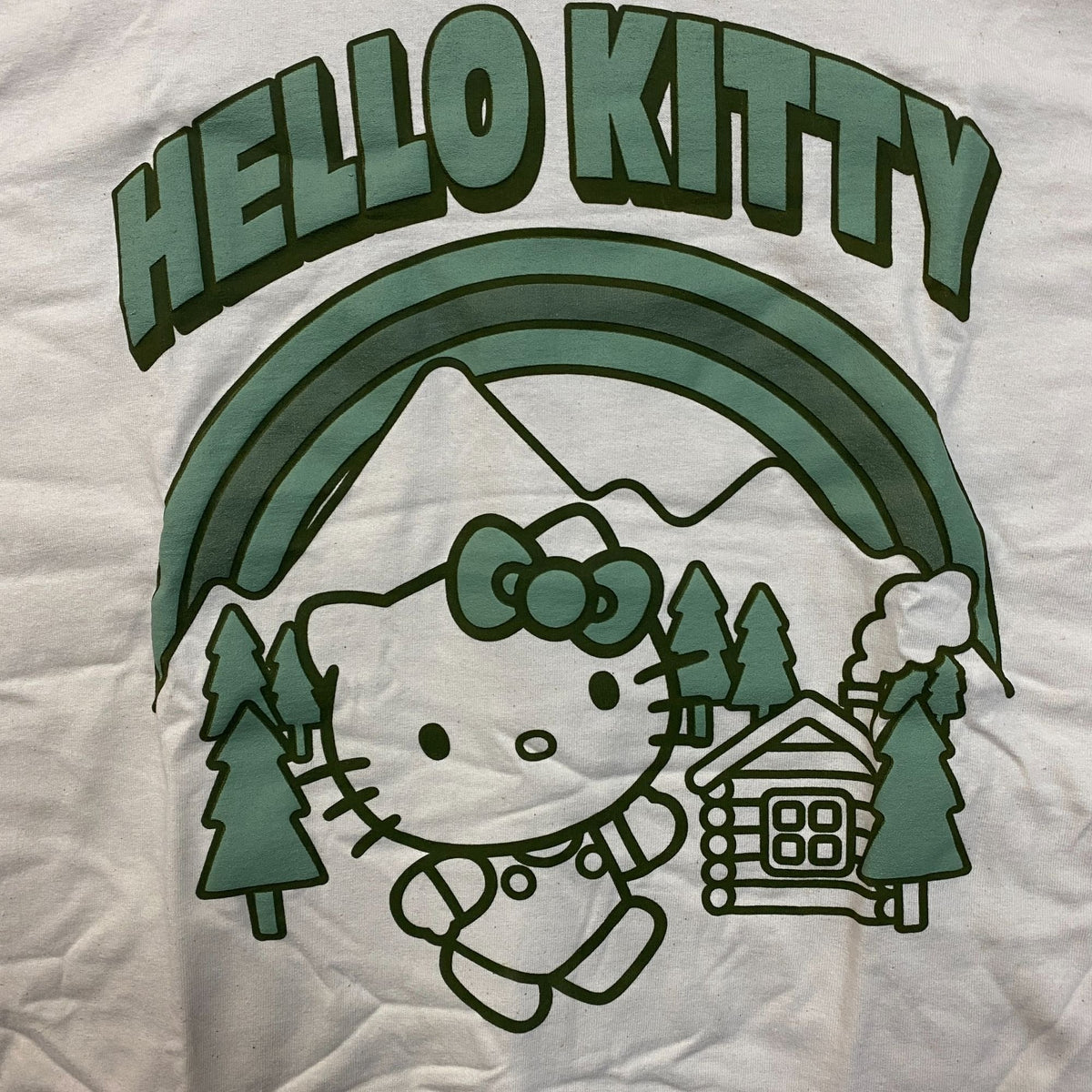 Sanrio Hello Kitty Outdoors Cute Graphic T-Shirt Large product image 2