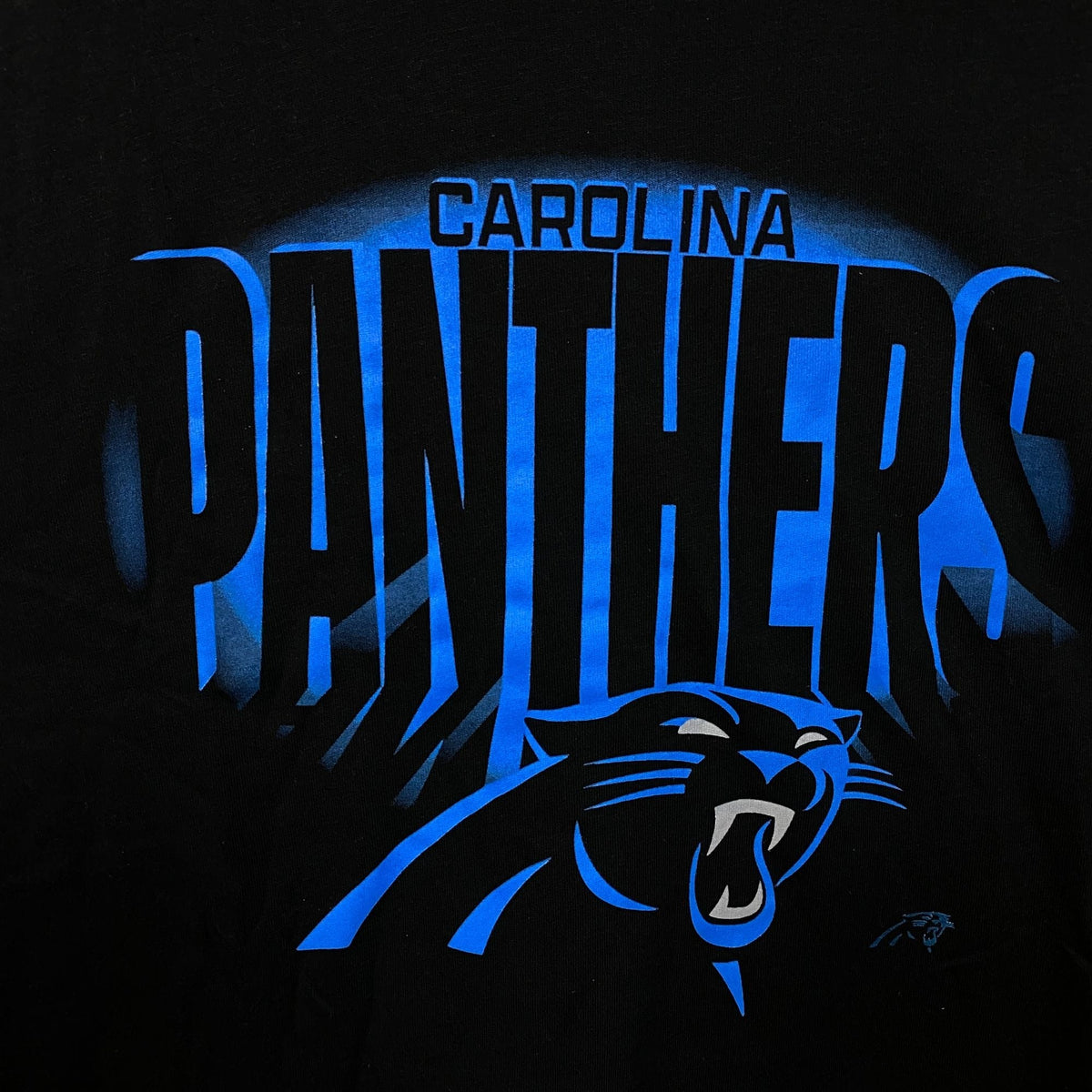 FOCO NFL Carolina Panthers Team Logo Graphic T-Shirt Large product image 2