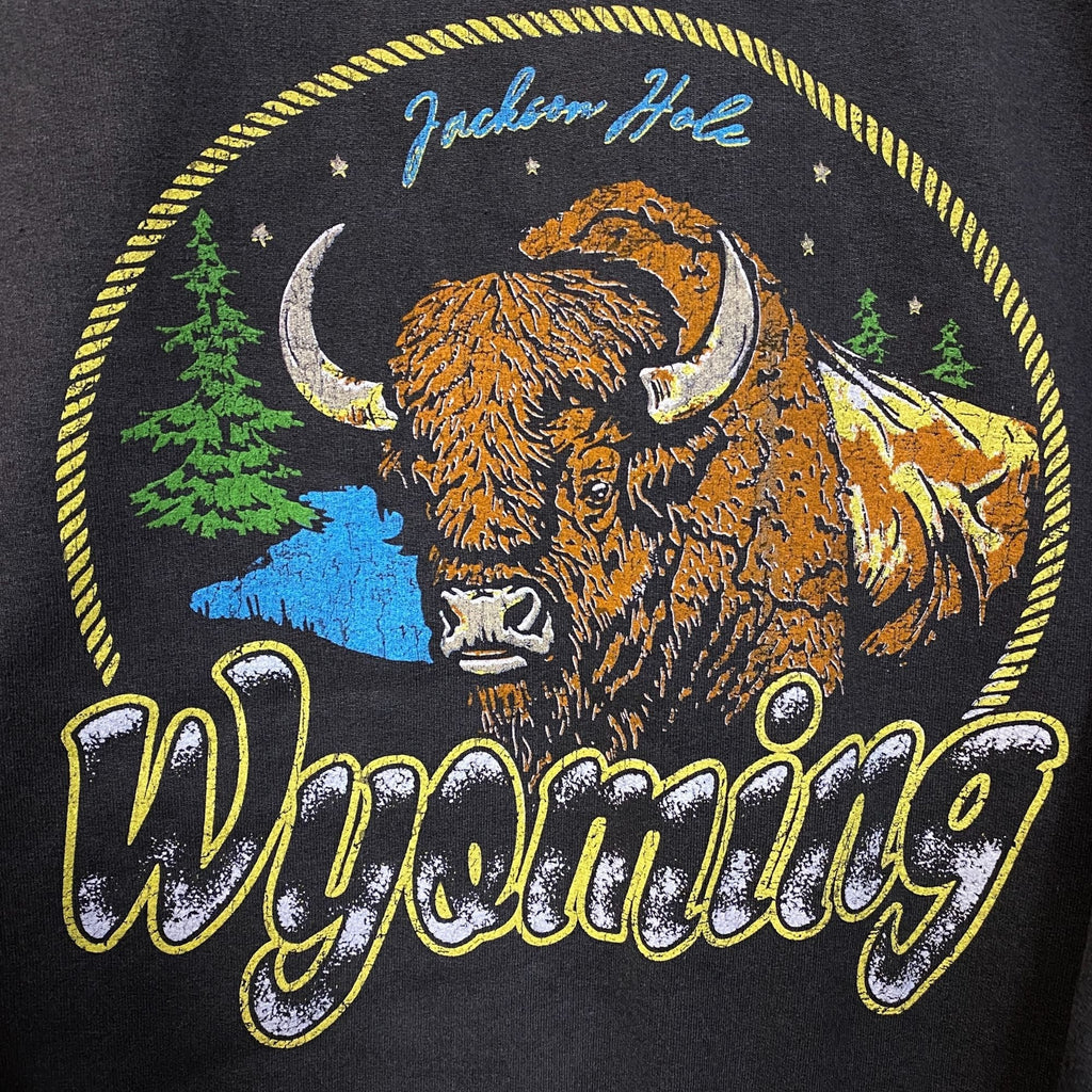 Junk Food Clothing Wyoming Bison Graphic Crewneck product image 2