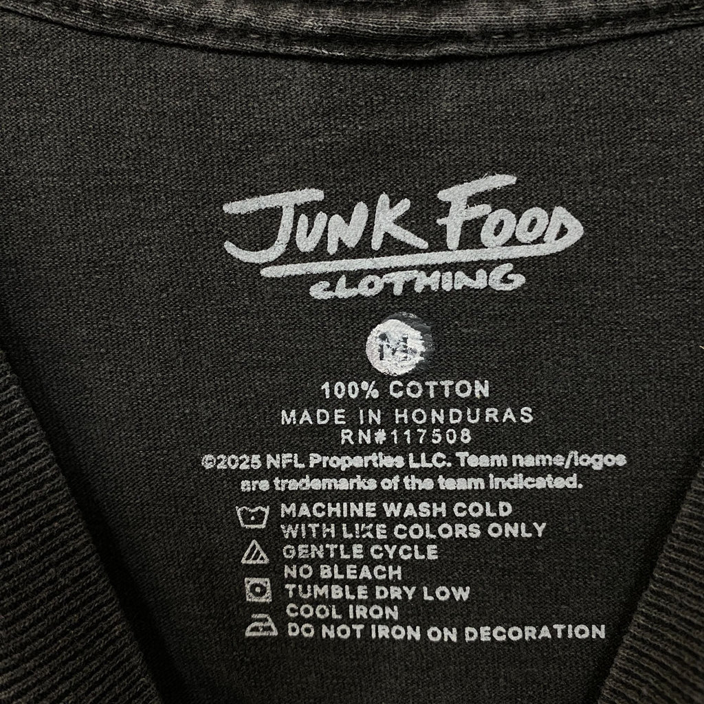 Junk Food Clothing San Francisco 49ers Graphic T-Shirt product image 4