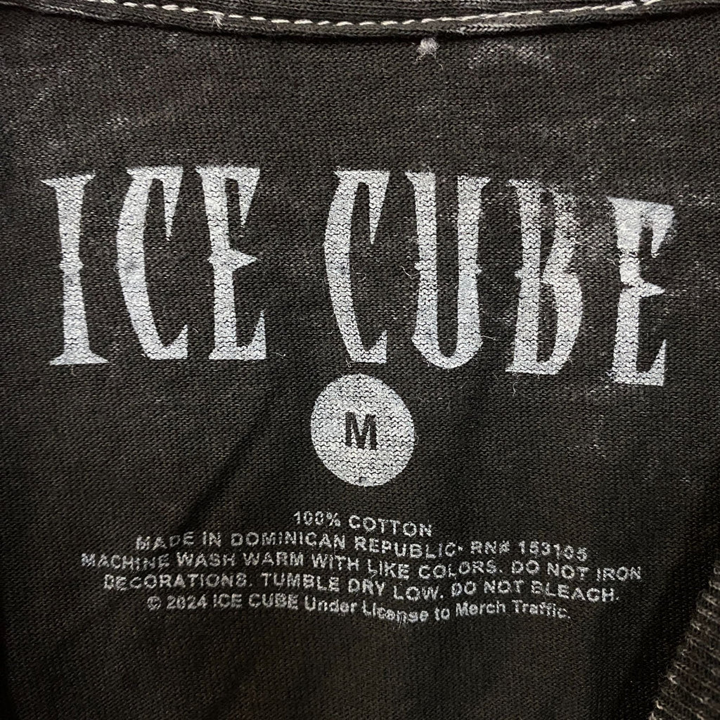 Ice Cube It Was A Good Day Graphic T-Shirt Medium product image 5