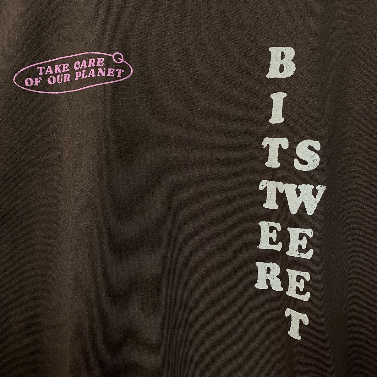 Bittersweet Take Care Of Our Planet Oversized Graphic product image 3