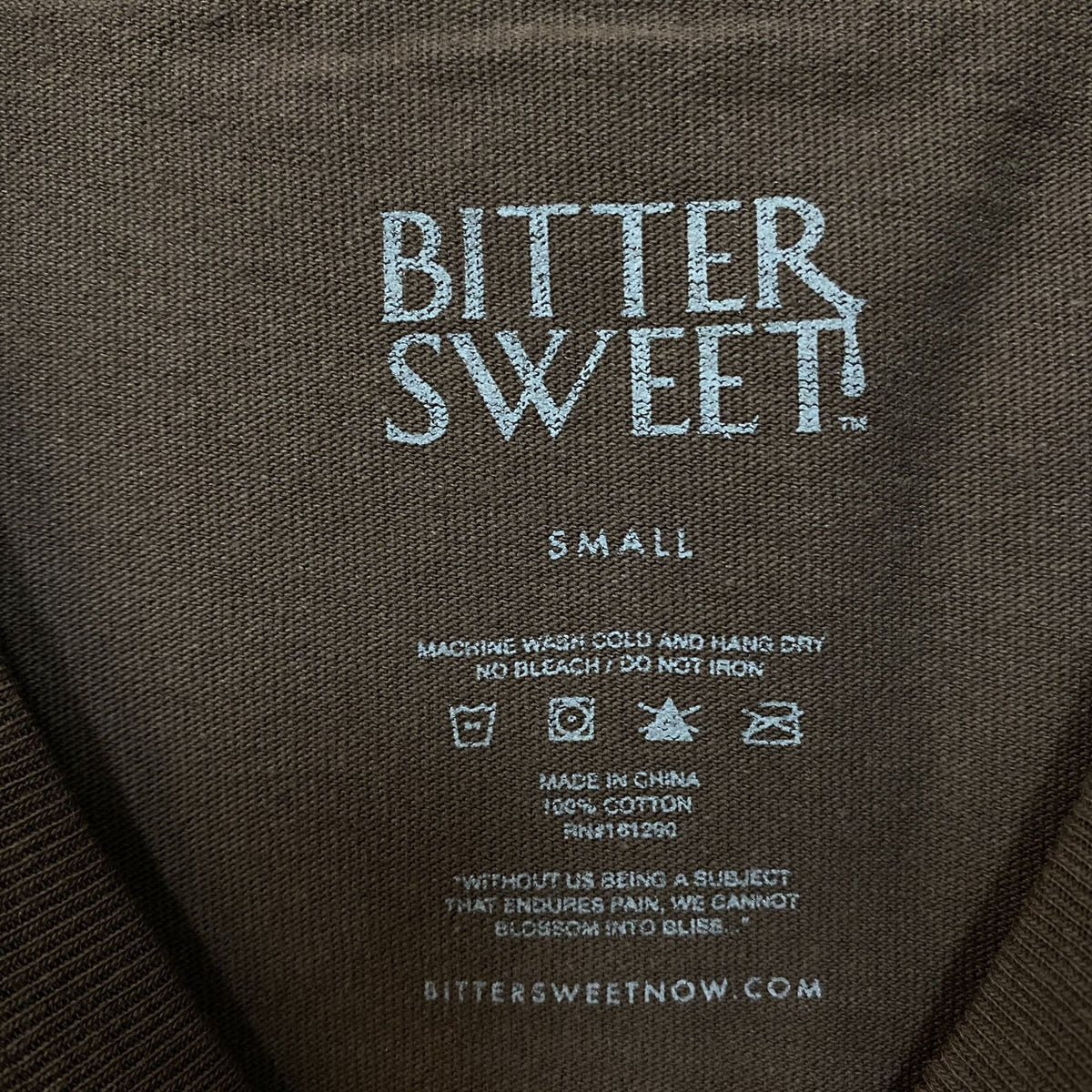 Bittersweet Take Care Of Our Planet Oversized Graphic product image 5