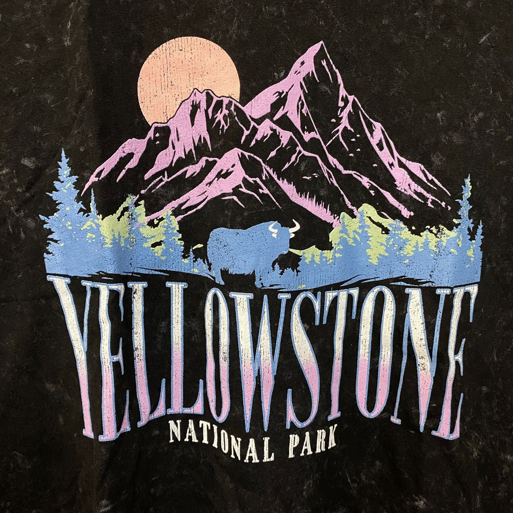 Pretty Rebel Yellowstone National Park Crop Graphic Tee product image 2