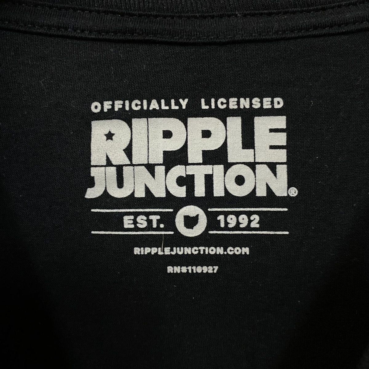 Ripple Junction Godzilla King of the Monsters Comic Cover product image 4