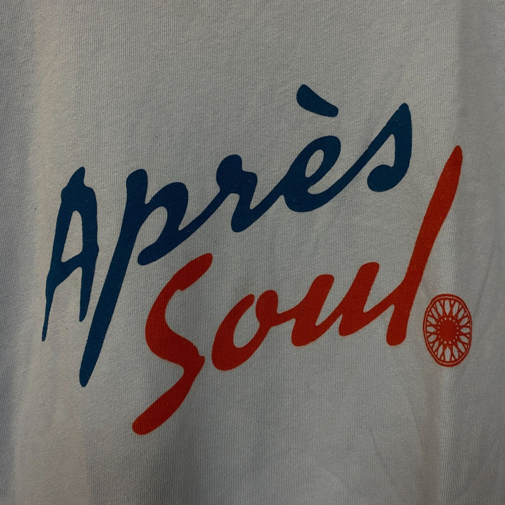 Junk Food Clothing Après Soul Graphic T-Shirt XS product image 2