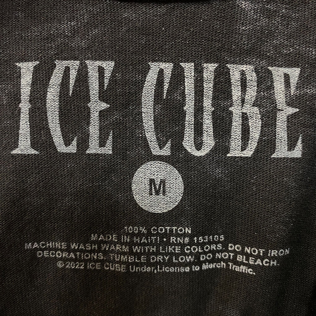 Ice Cube It Was A Good Day Graphic T-Shirt Medium product image 5