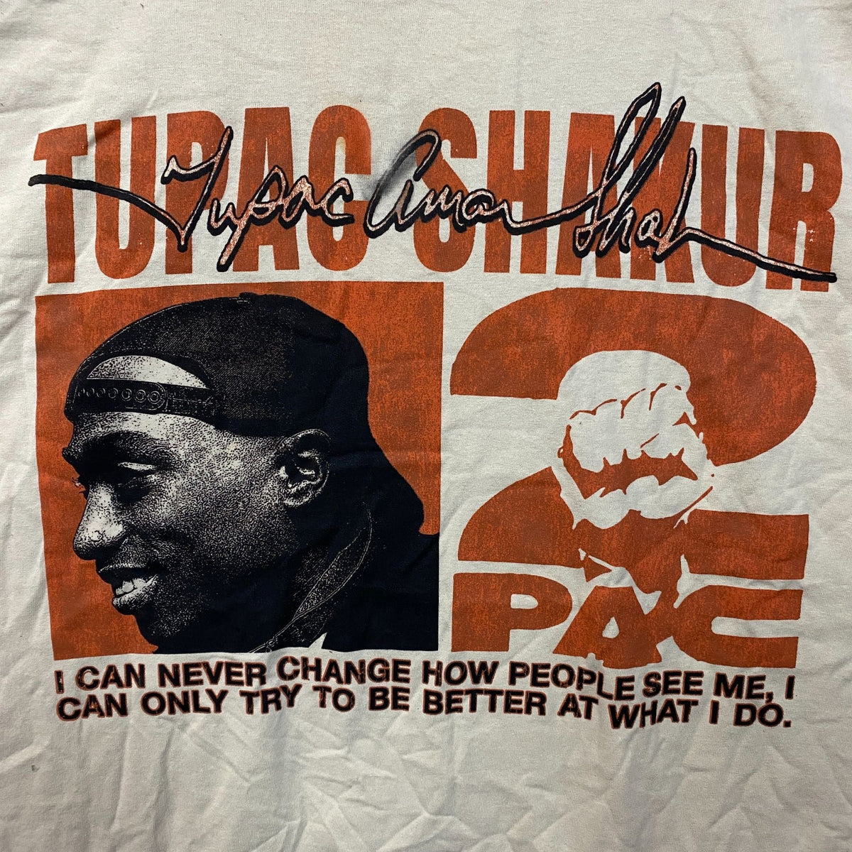 Tupac Never Change Heavyweight Graphic T-Shirt 2XL product image 2